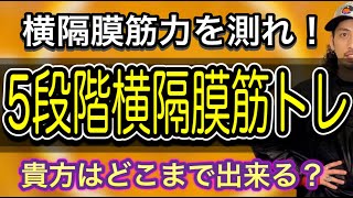 【ボイトレ】あなたは何レベル？１から５レベルで確認する横隔膜の筋力！【歌うま】【ボイストレーニング】【カラオケ】
