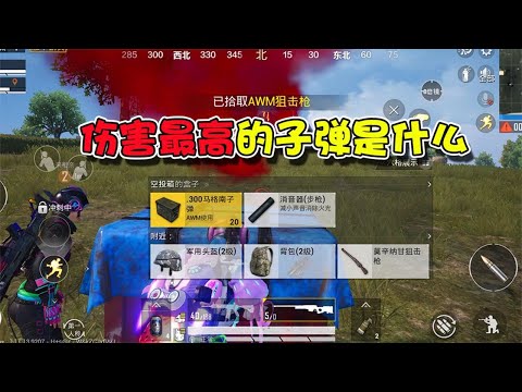 蓝少和平精英：游戏中伤害最高的子弹是什么，马格南竟仅排第三名