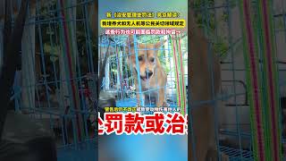 近些年，类似无人机、网络信息安全、城市养犬等领域的纠纷日益增多，此次修订的新《治安管理处罚法》对上述问题进行了详细规定。