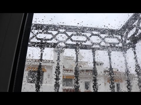 VLOG #021 - IT'S RAINING WE'RE ALL GOING TO DIE