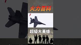與大黃蜂相比，超級大黃蜂主要超級在哪？#shorts #火力就是正義