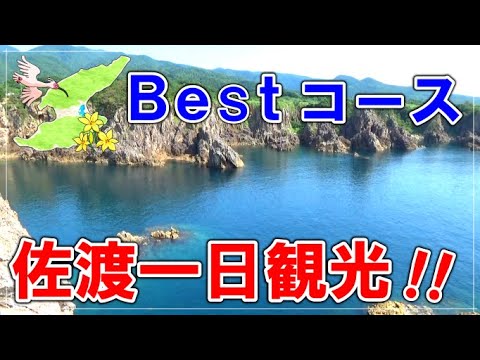 佐渡一日観光 ベストコース たびのホテルから出発！！