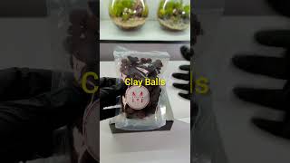 Terrarium DIY Kit Unboxing #terrarium #plants #diykit #shorts