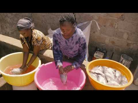 FoodTechAfrica TRAILER - Driving East Africa's Blue Revolution