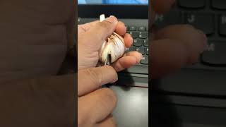 Do you know this hack? #youtube #youtubehit #hack #meme #f52grams #buzzfeed #reels #viral