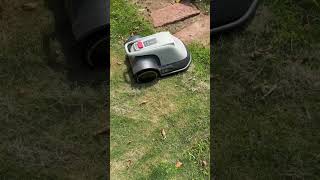 Eufy E15 obstacle avoidance test  #robotmower  #lawnmower