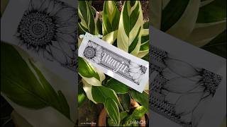 Name Mandala Art #mandalaart #ordernow #custmized #mandalaartforbeginners #artist