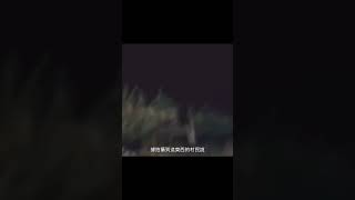 吸血鬼還是殭屍？#靈異​#獵奇#恐怖視頻​#超自然