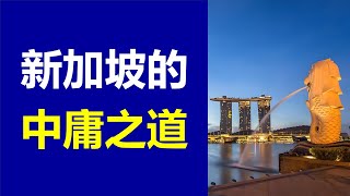 自由市场 vs. 政府干预——新加坡的"中庸之道"如何成就奇迹？|自由市场|政府作为“掌舵人”|新加坡模式|政治环境稳定|社会契约精神|高效的行政管理|政府与市场的有效平衡