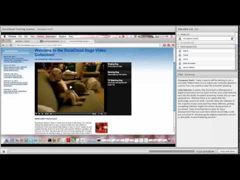 DuraCloud Brown Bag Series: Media Streaming