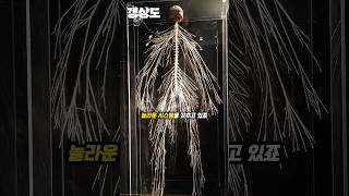 놀라운 인체의 신비