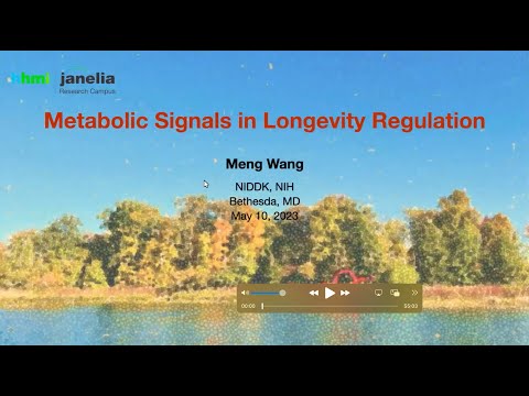 Metabolic Signals in Longevity Regulation