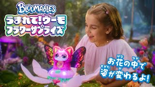 [Hatchimal Flower Surprise] A turtle transforms into a flower! A surprise transformation! Give th...