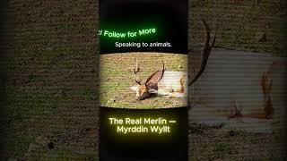 The Real Merlin — Myrddin Wyllt #shorts #foryou #historytok