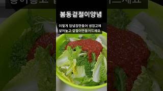 입맛당기는 상큼고소한맛#집밥 #봄동 #봄동겉절이 #봄동요리 #김치#살림브이로그 #요리 #요리레시피 #레시피 #shorts