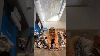 Therian meet-up! #therian #furry #quadrobics #meetup