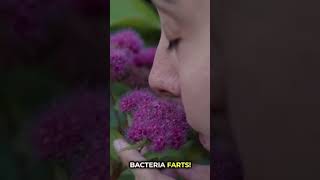 Why Can You SMELL Rain? 🤯 + The Brain-Eating Amoeba That Can Kill You! 🦠💀 #crazyfacts  #didyouknow