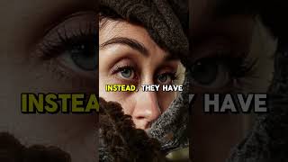 Top 5 Scary Snake Facts You Should Know 🐍 #1 is Terrifying #snakefacts #animalfacts #top5