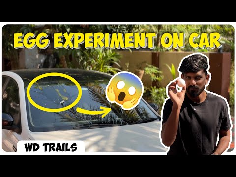 Solution for egg attacks in car 🥚✨