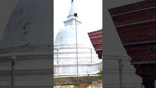 හිත නිමෙන තැන්.. 🙏❤️ #downsouth #sinhala #travel #youtubeshorts