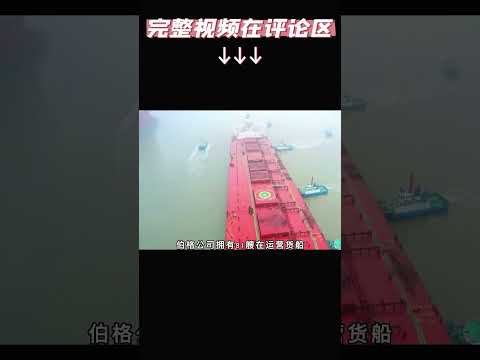 博格 珠穆朗玛号 Berge Everest 散装货船