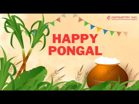 Happy Pongal Celebration 2024 | Infometry Celebrations | 2024