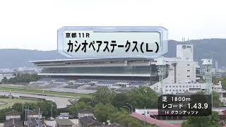 【京都競馬場改修前最後の芝レース】実況：岡安譲（関西テレビ）