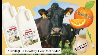 ORANGES + GARLIC? *** RAW FARM's Unique ways we keep cows healthy and THRIVING!