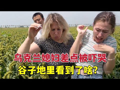 Ukrainian wife was scared to cry in rural China烏克蘭媳婦嫁到中國農村，來到穀子地嚇出表情包：到底發生了啥？