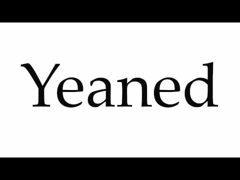 How to Pronounce Yeaned