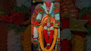 murugaa 🙏🙏🌺🌺🌺🌺🌺🙏🙏