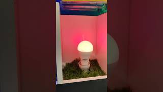 Bohlam Smart Led Krisbow #smartled