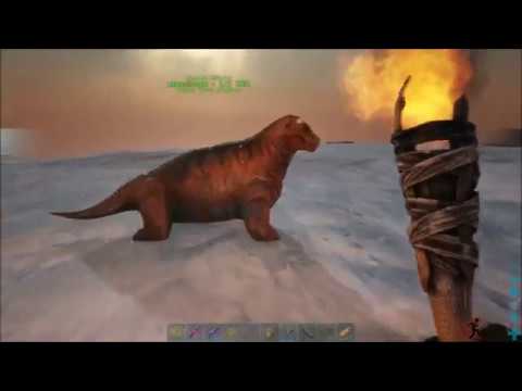 Ark - SP Island Nearly Official 3