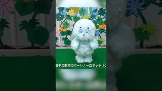 Keparan the robot friend | IREX 2023  | Technology news | Pro Robots