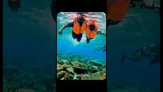 Snorkeling 🇲🇻 #trending #love #honeymoon #youtubeshorts #shortvideo