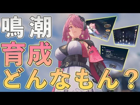 【鳴潮】キャラの育成要素を5つ全て紹介します【めいちょう】