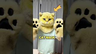 These cats don’t like the giant cat mask