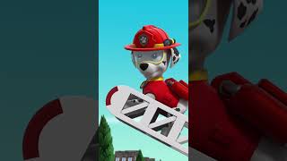 凱蒂帶領汪汪隊阻止汪汪叫貓咪大隊來搗蛋！#PAWPatrol #Shorts 兒童卡通
