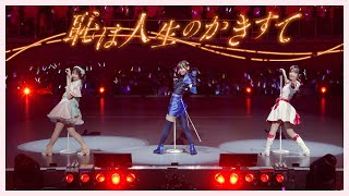 恥は人生のかきすて / from Live & Fan Meeting TRY TRY UNITY!!!