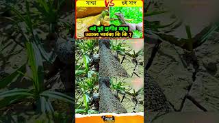 সান্ডা কি পরিবেশের জন্য উপকারী? 🌍🦎 #EcoBalance