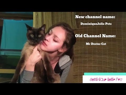 I changed our name! Mr Dexter Cat