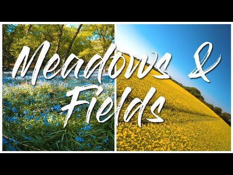 Bluebell Heaven OMG! | Meadow feast - Cowslip - Goastsbeard | Rapeseed & Hay fields | Acro Drone