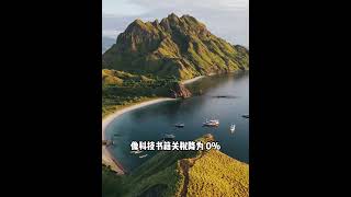 印尼新规大揭秘！中企的机遇与挑战并存 #国际物流 #船舶运输 #投資 #海运 #外贸交流 #外贸交流 #科普