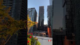 Cityscapes of Toronto🏙️ExploringIconic BuildingsJohn Street#TorontoViews#CanadaVacation#UrbanWander