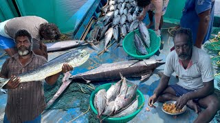 Amazing‼️The Eleventh Day Of Our Stay In The Deep Sea🤩 Massive Fish Hunt💢