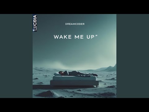 Wake Me Up'