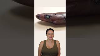 Shark Week - Dwarf Lantern Shark #sharkweek