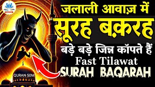 Surah Baqarah fast tilawat Only 48 minutes | Al-Baqarah Surah full(quick recitation) QURAN 50M#quran