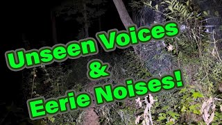 Whispering Woods: Unidentified Noises & Eerie Encounters