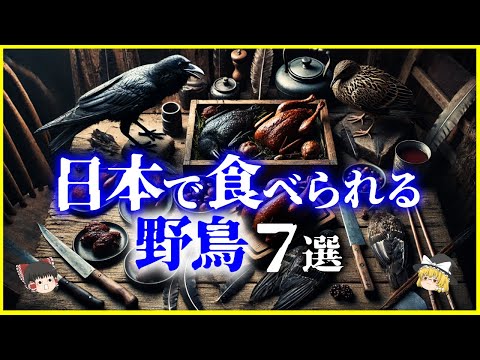 【ゆっくり解説】日本で合法的に食べることができる「野鳥」７選を解説/カラス、スズメ、ヤマドリ、ウズラ他…その味とは？